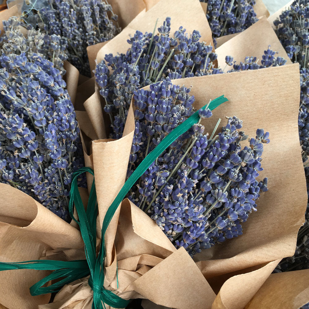 Mazzetto di Lavanda essiccata